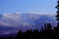 Saddleback 3.jpg 